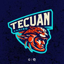 Tecuan Esports. Graphic Design, Vector Illustration, Br, ing & Identit project by Moi "Angry" Alxes - 02.20.2022