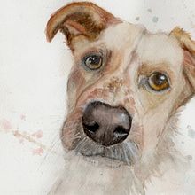My project in Expressive Animal Portraits in Watercolor course. Traditional illustration, Watercolor Painting, Realistic Drawing, and Naturalistic Illustration project by Melina Silva - 02.20.2022