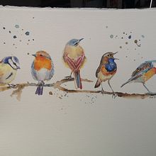 My project in Artistic Watercolor Techniques for Illustrating Birds course. Un progetto di Illustrazione tradizionale, Pittura ad acquerello, Disegno realistico e Illustrazione naturalistica di lisabranc - 20.02.2022