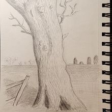 My project in Daily Sketching for Creative Inspiration course. Traditional illustration, Sketching, Creativit, Drawing, and Sketchbook project by pioks - 02.20.2022