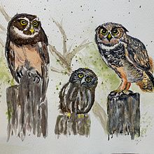 My project in Artistic Watercolor Techniques for Illustrating Birds course. Traditional illustration, Watercolor Painting, Realistic Drawing, and Naturalistic Illustration project by drleeberg - 02.21.2022