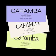 Branding for Caramba Agency. Projekt z dziedziny Design, Projektowanie graficzne, Grafika ed, torska, Projektowanie t, pografii, Kreat, wność, Projektowanie logot, pów,  Manager art, st, czn, T, pografia i Web design użytkownika Caroline Carrillo - 21.02.2022