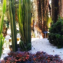 Mi Proyecto del curso: Creación y edición de contenido para Instagram Stories. Projekt z dziedziny Portale społecznościowe, Fotografowanie smartfonem, Marketing c, frow, Fotografia c, frowa, Marketing mobiln, Instagram, Marketing treści, Fotografia na Instagram, Marketing na Instagramie,  Fotografia lifest i le użytkownika paulameryalesalfaro - 20.02.2022