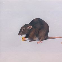 TEG - Animal a llàpis de color. Desenho projeto de Nerea Iznájar Blázquez - 22.02.2022