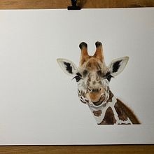My project in Expressive Animal Portraits in Watercolor course. Traditional illustration, Watercolor Painting, Realistic Drawing, and Naturalistic Illustration project by gary.witham - 02.22.2022