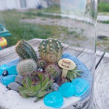 Il mio progetto del corso: Arte vegetale: crea un terrario aperto. Un proyecto de Diseño de interiores, Paisajismo, Decoración de interiores, DIY, Diseño floral y vegetal de Lorena Lovrečič - 22.02.2022