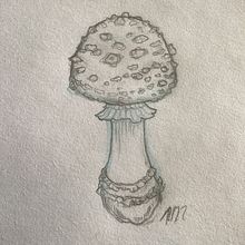 My project in Botanical Tattoo with Pointillism course: Toadstool. Traditional illustration, Tattoo Design, and Botanical Illustration project by nuts912 - 02.15.2022