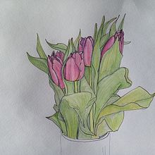 My project in Botanical Sketchbooking: A Meditative Approach course Ein Projekt aus dem Bereich Traditionelle Illustration, Skizzenentwurf, Zeichnung, Aquarellmalerei, Botanische Illustration und Sketchbook von mrsrkey - 23.02.2022
