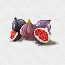 Figs. Digital Illustration project by Javi Sola - 02.23.2022