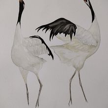 Mi Proyecto del curso: Acuarela naturalista con expresión y personalidad. Traditional illustration, Watercolor Painting, and Naturalistic Illustration project by joyanedel25 - 02.11.2022