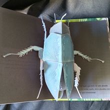 Mi Proyecto del curso: Libros pop-up interactivos: crea mundos de papel. Projekt z dziedziny Craft, Grafika ed, torska, Papercraft,  Introligatorstwo, Kreat, wne zabaw i z dziećmi użytkownika Carolina Capurro - 23.02.2022