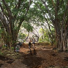 Sendero natural palo santo Guayaquil . Un projet de Design , Illustration traditionnelle, Photographie, Architecture, Éducation, Événements, Beaux Arts, Architecture d'intérieur, Pa, sagisme, Collage, B, e dessinée, Art urbain, Réseaux sociaux et Instagram de Leonardo Rodriguez - 23.02.2022