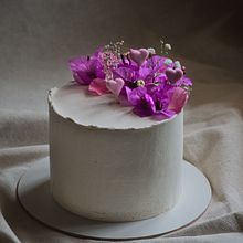 Sesión de Fotos Tortas Veganas / Vegan Cakes Photoshoot . Un progetto di Fotografia gastronomica di Marcus Pimenta - 24.02.2022