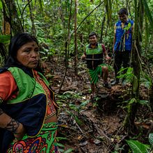 En la selva de las minas malditas . % Gladys Serrano tarafından hazırlanan Video, Film, Video ve TV, Görsel-İşitsel Prodüksi, on, Film, Ve apımcılığı projesi - 02.24.2022