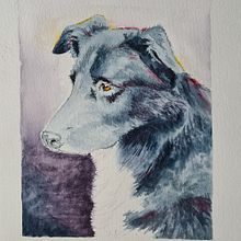 My project in Expressive Animal Portraits in Watercolor course. Watercolor Painting, Traditional illustration, Realistic Drawing, and Naturalistic Illustration project by suemackenzie186 - 02.16.2022