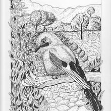 Mon projet du cours : Illustration à l'encre et à la plume : représentez le monde naturel. Sketching, Drawing, Artistic Drawing, Sketchbook, Ink Illustration, and Naturalistic Illustration project by Francine Calestagne - 02.22.2022