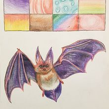 Murciélago a color y muestrario de degradados a lápiz de color. Un proyecto de Ilustración tradicional de Marc Pérez - 24.02.2022