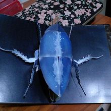 Sigo el camino para empezar mi propio libro. Un proyecto de Artesanía, Diseño editorial, Papercraft, Encuadernación y Creatividad con niños de mafiruna84 - 25.02.2022