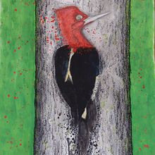 Pica-Pau-Rei. Painting, and Watercolor Painting project by Marinês Eiterer - 02.25.2022