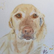 My project in Expressive Animal Portraits in Watercolor course. Traditional illustration, Watercolor Painting, Realistic Drawing, and Naturalistic Illustration project by Barb O - 02.25.2022