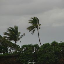 Mi Proyecto del curso: Proyectos de fotografía documental. Projekt z dziedziny Fotografia,  Fotografia plenerowa i Fotografia dokumentalna użytkownika Lena Cortés Reinbold - 26.02.2022