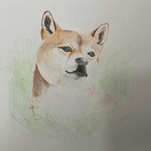 Treball Teg - Dibuixs a colors de fusta. Drawing project by W4D - 02.24.2022