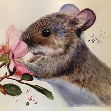 My project in Expressive Animal Portraits in Watercolor course. Traditional illustration, Watercolor Painting, Realistic Drawing, and Naturalistic Illustration project by Sue Chilson - 02.14.2022