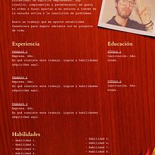 Diferentes modelos de CV - Proyecto del curso: Las leyes de la percepción visual: unidad, peso, equilibrio y movimiento. Art Direction, Creative Consulting, Editorial Design, Graphic Design, Set Design, Br, ing, Identit, Marketing, Infographics, Creativit, Poster Design, and Digital Design project by Aarón de la Cerda - 02.18.2022