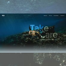 Conservación de tortugas Ein Projekt aus dem Bereich UX / UI, Grafikdesign, Interaktives Design, Webdesign, Mobile Design, Digitales Design, App-Design und Digitales Produktdesign von Victoria Calle - 27.02.2022