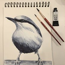 Mijn project van de cursus: Vogels illustreren met artistieke aquarel. Projekt z dziedziny Trad, c, jna ilustracja, Malowanie akwarelą, R, sunek realist, czn, Ilustracja naturalist i czna użytkownika liesvlas - 27.02.2022