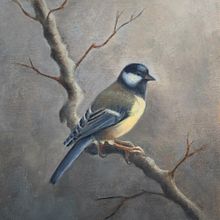 Great Tit. Oil Painting, Naturalistic Illustration, Fine Arts, and Painting project by Dan Bamford - 02.14.2022