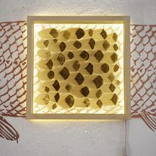 Pirarucu. Design project by Andrea Bandoni - 02.28.2022