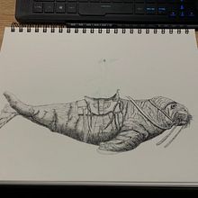 Penguin riding a walrus. Traditional illustration, Pencil Drawing, Drawing, Realistic Drawing, Artistic Drawing & Ink Illustration project by Christian - 02.28.2022