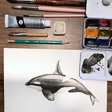 Mi Proyecto del curso: Ballenas en acuarela. Un progetto di Illustrazione tradizionale, Design di poster , Illustrazione digitale e Manga di Williams Aguilera - 28.02.2022