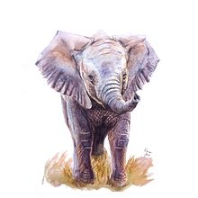 Watercolor painting of Elephant. Traditional illustration, Watercolor Painting, Painting, Artistic Drawing, and Naming project by Adrián Rayón - 03.02.2022