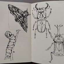 My project in Daily Sketching for Creative Inspiration course. Un proyecto de Ilustración tradicional, Bocetado, Creatividad, Dibujo y Sketchbook de Dehaerne Deborah - 01.03.2022