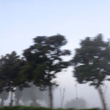 dal finestrino. Un projet de Photographie de Marzia - 01.03.2022