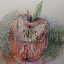 My project in Surrealist Illustration Inspired by Nature course. Traditional illustration, Pencil Drawing, Drawing, Artistic Drawing, Naturalistic Illustration, and Colored Pencil Drawing project by Chan D - 03.01.2022