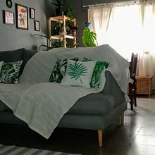 Mi Proyecto del curso: Estilismo y decoración del hogar con plantas. Interactive Design, Decoration, Interior Decoration, DIY, Floral, Plant Design, and Spatial Design project by Alma Brondo - 03.02.2022