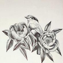 Il mio progetto del corso: Illustrazione naturalistica a penna. Un proyecto de Ilustración tradicional, Dibujo, Dibujo realista e Ilustración naturalista				 de mrfanuli - 02.03.2022