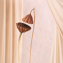 BACIO DI LOTO // LOTUS KISS. Un progetto di Design di Sara Ricciardi - 02.03.2022