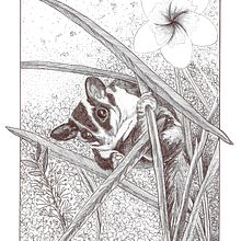 My project in Naturalist Illustration with Ballpoint Pen  course. Traditional illustration, Drawing, Realistic Drawing, and Naturalistic Illustration project by mcpaan - 03.03.2022