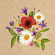 Illustrations - Natural Products. Traditional illustration, Digital Illustration, Botanical Illustration, and Product Design project by Maya R - 03.03.2022