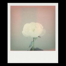✦ instantáneas ✦. Design, Photograph, Film Photograph, and Digital Design project by Nahir Esper - 05.14.2021