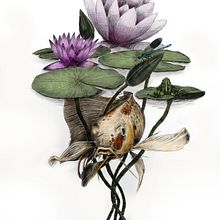 Mon projet du cours : Illustration naturaliste au stylo. Traditional illustration, Drawing, Realistic Drawing, and Naturalistic Illustration project by Nadège DUFLO - 03.02.2022