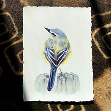 My project in Artistic Watercolor Techniques for Illustrating Birds course. Traditional illustration, Watercolor Painting, Realistic Drawing, and Naturalistic Illustration project by Jade - 03.04.2022