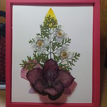 Mi Proyecto del curso: Técnicas básicas de prensado botánico Ein Projekt aus dem Bereich H, werk, Bildende Künste, Collage, DIY und Blumen- und Pflanzendesign von Jose De Los Cobos - 03.03.2022