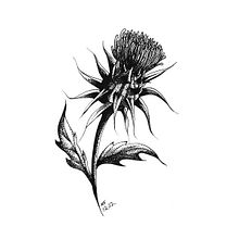 Blackwork Tattoo Design - Botanical Element. Un progetto di Illustrazione tradizionale di lepinink - 05.03.2022