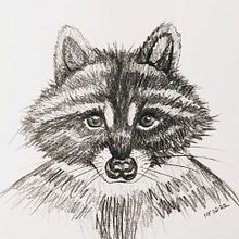 Just a raccoon !. Un progetto di Illustrazione tradizionale di lepinink - 05.03.2022