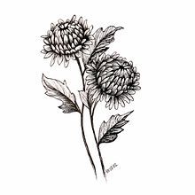 Chrysanthemum. Un progetto di Illustrazione tradizionale di lepinink - 05.03.2022